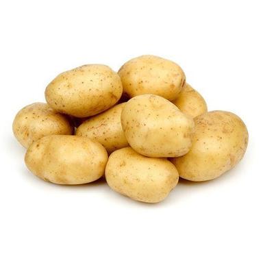 Round Fresh Ground Potato