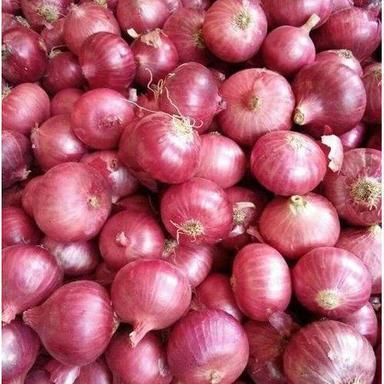 Round Fresh Whole Red Onion
