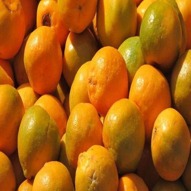 Organic Healthy And Natural Fresh Nagpur Orange 