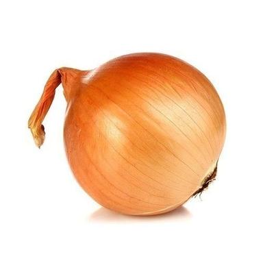 Round Healthy And Natural Fresh Yellow Onion