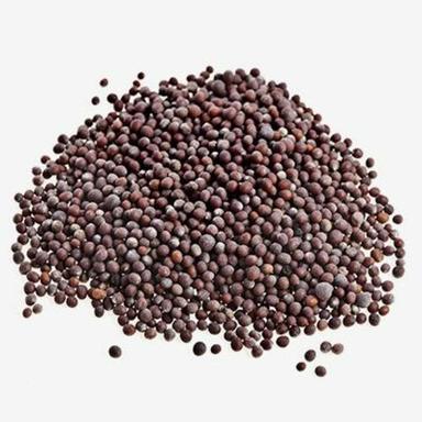 Healthy And Natural Mustard Seeds Admixture (%): 10% Max
