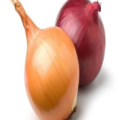 Round Healthy And Natural Fresh Onion