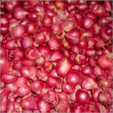 Healthy And Natural Fresh Small Red Onion Shelf Life: 15 Days