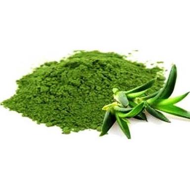 Green Aloe Vera Extract (Aloe Barbadensis Extract)