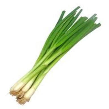 Healthy And Natural Fresh Green Onion Shelf Life: 1 Months