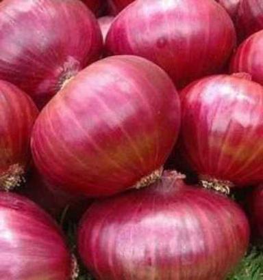 Natural Organic Fresh Pink Onions 