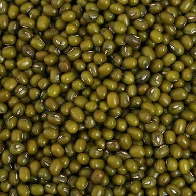 Organic Healthy And Natural Whole Green Lentil