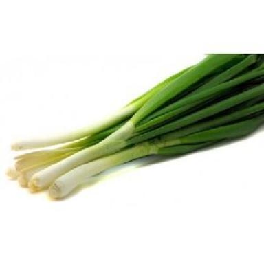 Healthy and Natural Fresh Green Shallots Onion