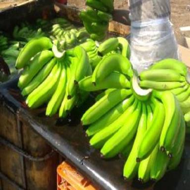 Organic Healthy And Natural Fresh Green Banana