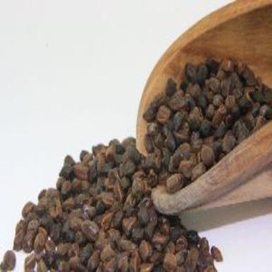 Organic Healthy And Natural Cassia Seeds