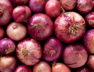 Round All Size Pink Onion