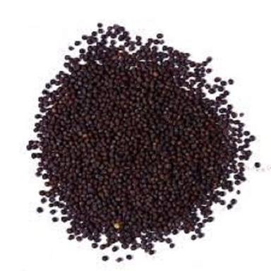 Round Dried Black Mustard Seeds