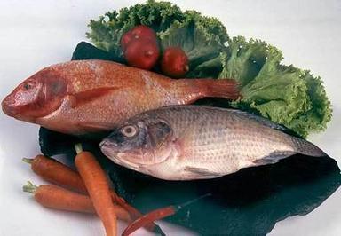 Tilapia Fish