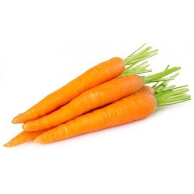 Healthy And Natural Fresh Carrot Warranty: Menufecture Warranty