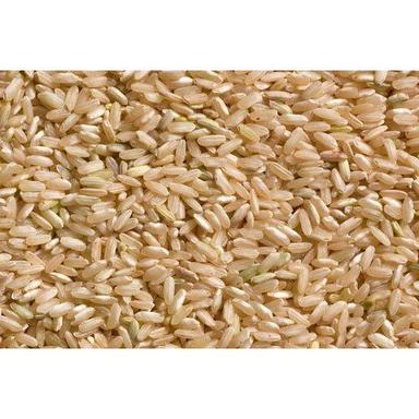Common Short Grain Brown Rice