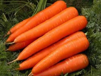 Fresh Carrot In Jute Bag Shelf Life: 1-2 Week