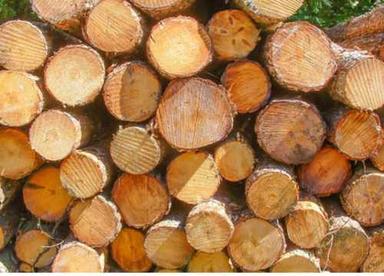High Strength Water Proof Wood Log
