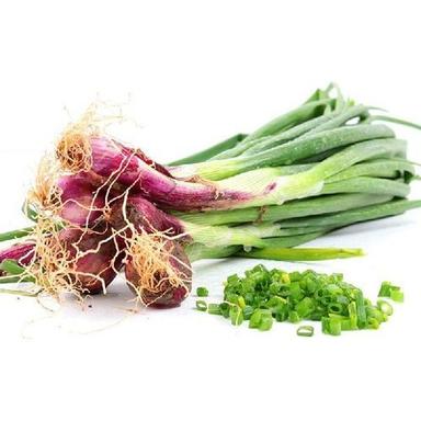 Healthy And Natural Fresh Spring Onion Shelf Life: 15 Days