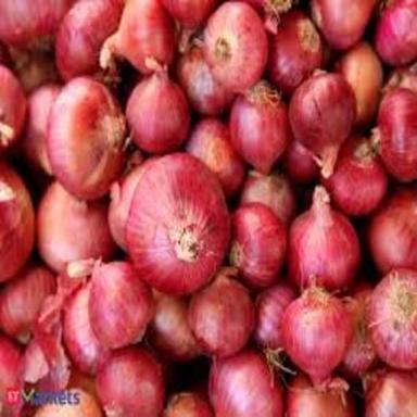 Round Healthy And Natural Fresh Pink Onion