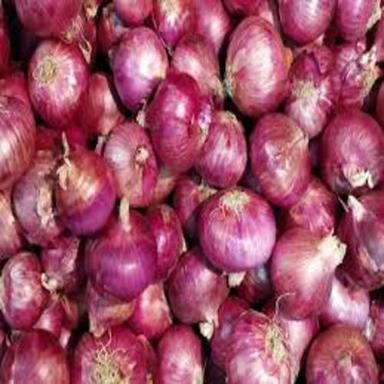 Round Healthy And Natural Fresh Red Onion