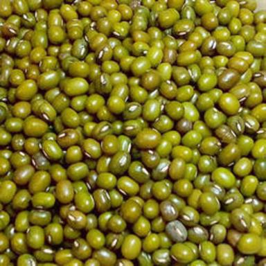 Organic Fresh Green Mung Bean