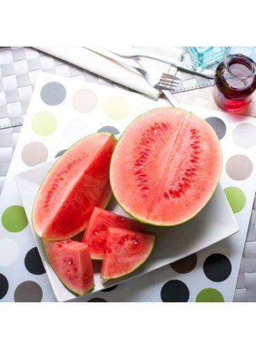 Red Pure Natural Watermelon Fruit Extract