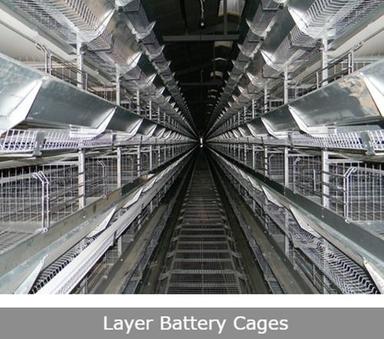 Easy To Clean Gi Layer Battery Cages