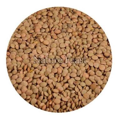 Healthy And Natural Brown Lentils Grain Size: Standard