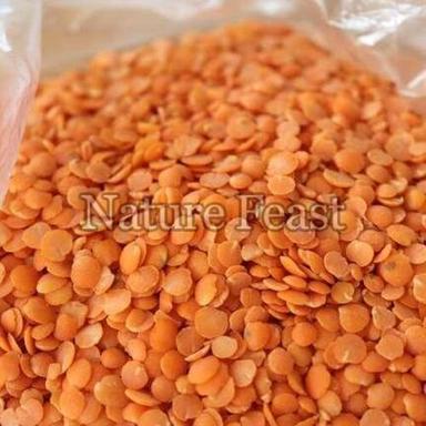 Organic Healthy And Natural Red Split Lentils