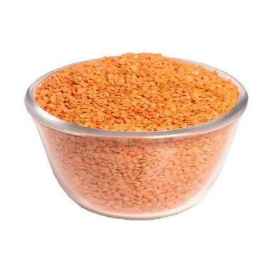 Healthy And Natural Masoor Dal Grain Size: Standard