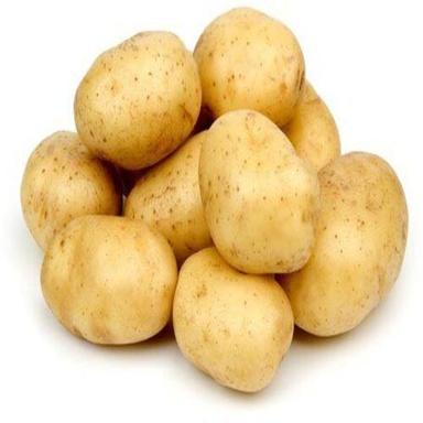 Round Healthy And Natural Fresh Potato