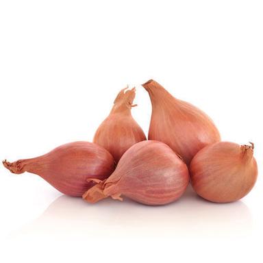Round Healthy And Natural Fresh Shallots Onions