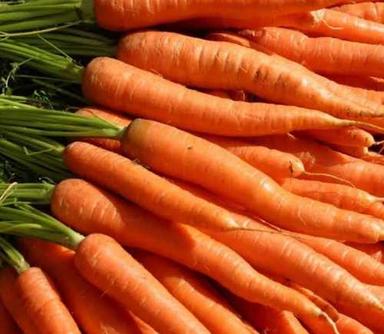 Cooked Fresh Red Carrot