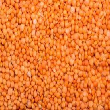 Organic Healthy And Natural Masoor Dal