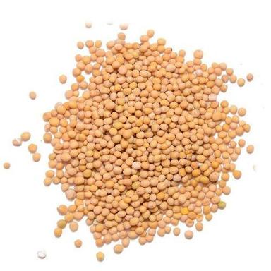Healthy And Natural Mustard Seeds Grade: Food Grade