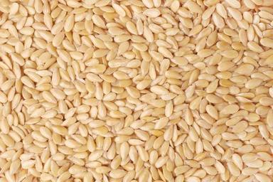 Organic Healthy And Natural Sesame Seeds