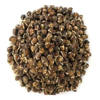 Herbal Brown Moringa Seeds