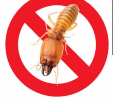 Termites Pest Control Services