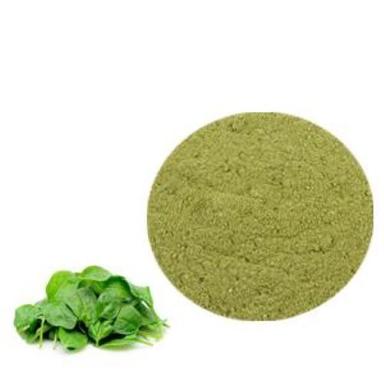 Organic Green Spinach Leaf Extract Age Group: For Adults