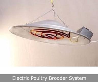 Electric Poultry Brooder System Veterinary Drugs