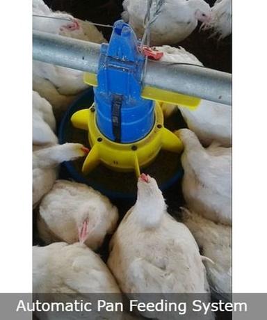 Plastic Poultry Automatic Pan Feeding System