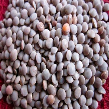 Brown Healthy And Natural Whole Masoor Dal