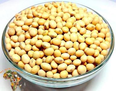 Cream Rich Protein Soya Bean