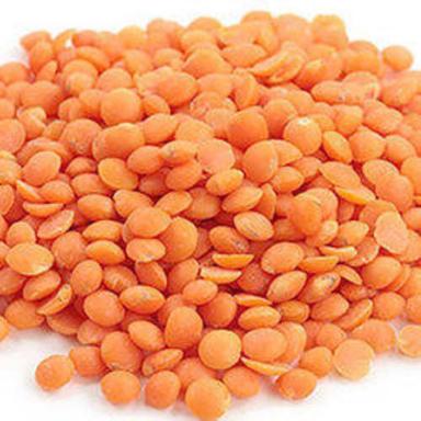 Healthy And Natural Organic Red Masoor Dal Grain Size: Standard