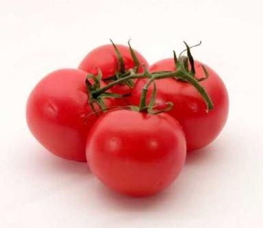 Round Fresh Red Juicy Tomato