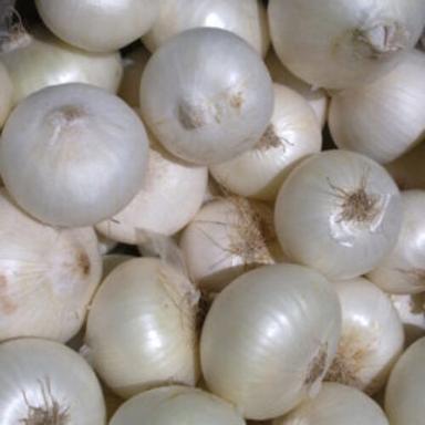 Round Healthy And Natural Fresh White Onion