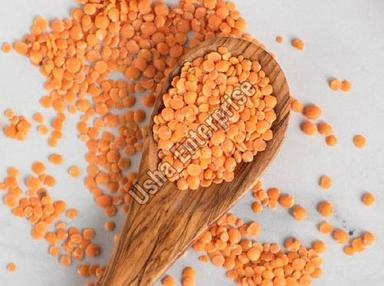Healthy And Natural Organic Red Lentils Grain Size: Standard