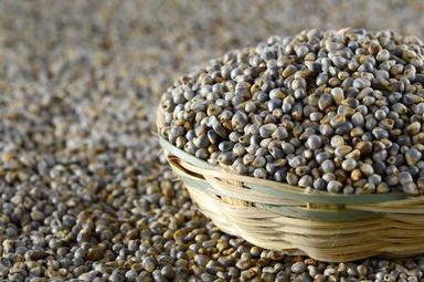 100% Organic Pearl Millets Shelf Life: 12 Months