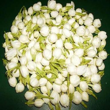 Natural And Fresh White Jasmine Flowers Shelf Life: 7 Days