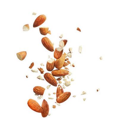 Brown Organic High Grade Broken Almond Nut